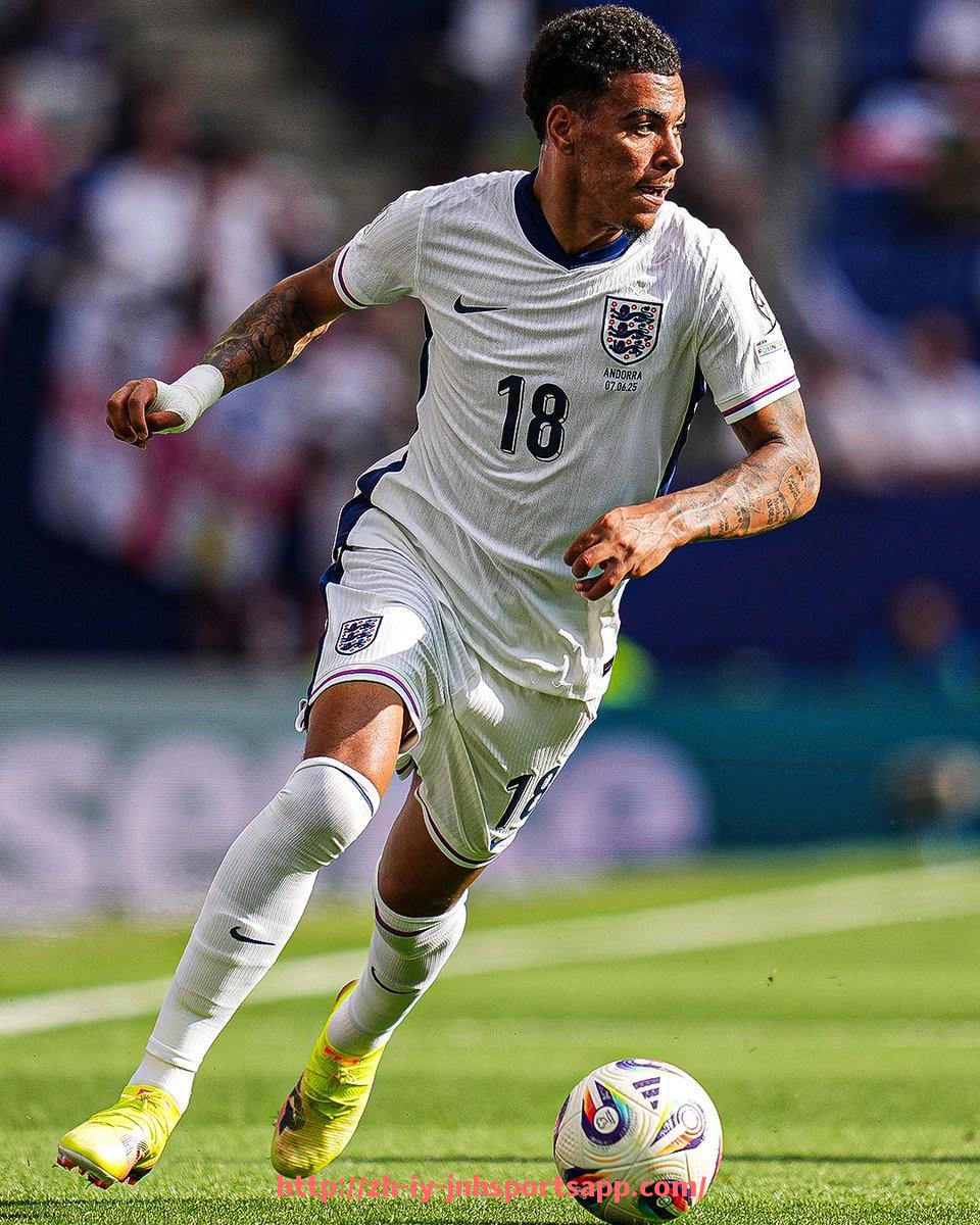 金年会app-世俱杯比赛场馆分布及其对比赛环境的影响研究