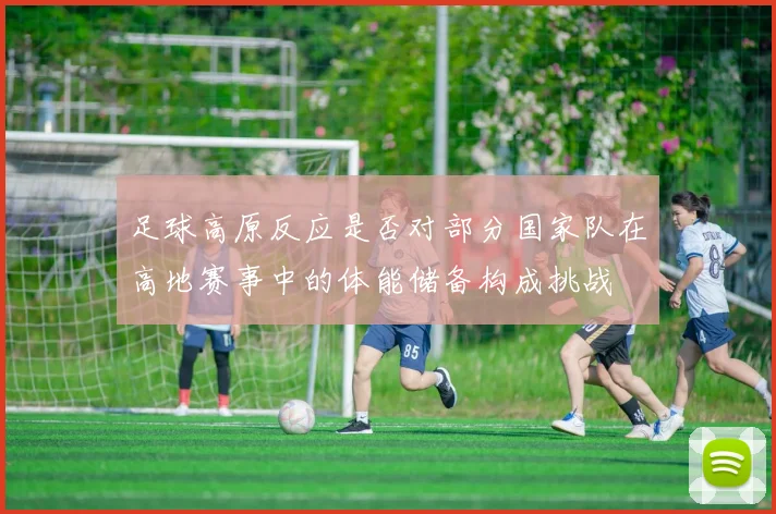 足球高原反应是否对部分国家队在高地赛事中的体能储备构成挑战