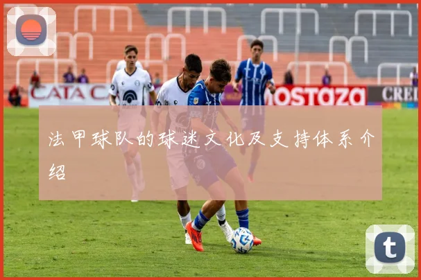 法甲球队的球迷文化及支持体系介绍