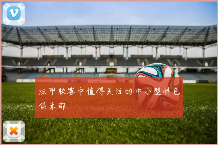 法甲联赛中值得关注的中小型特色俱乐部