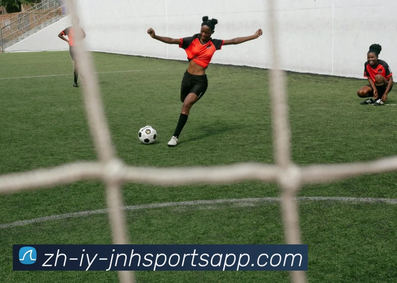 金年会体育平台生态图