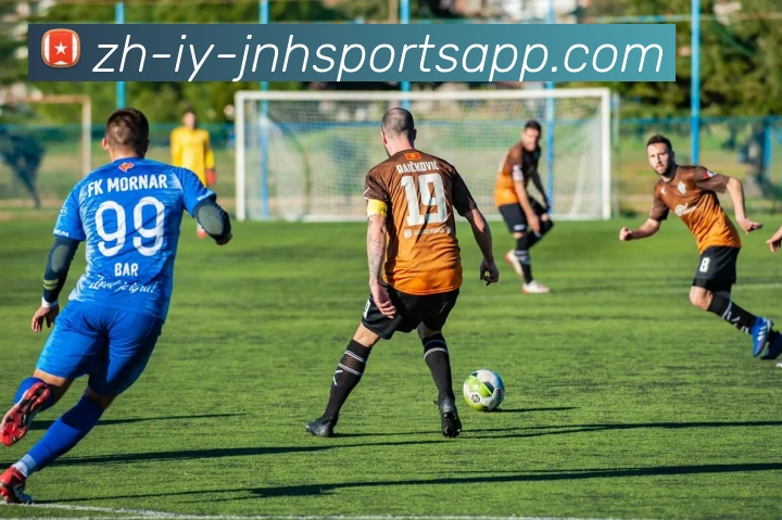 金年会体育APP 封面图